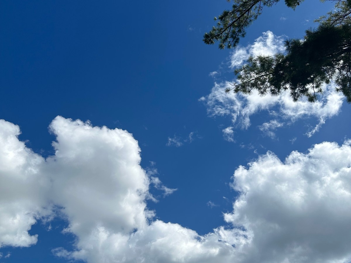 Another blog share from my previous private practice- Chez Joie Creative in Montreal,&nbsp;QC.